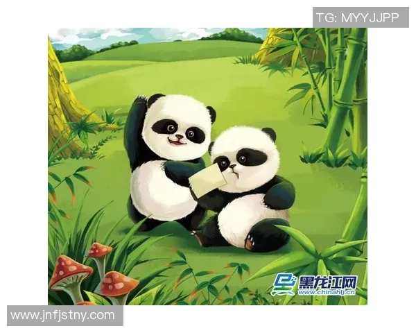 篮球明星熊猫的传奇之路与梦想追逐的精彩故事